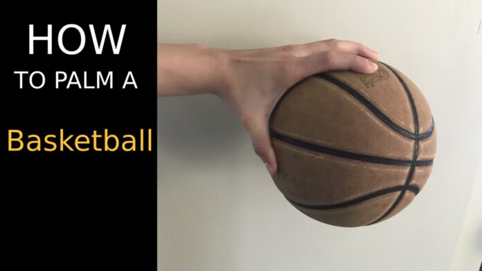 basketball_palm