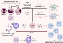Allergy Immunotherapy Market to Receive Overwhelming Hike in Revenues by 2017 – 2025