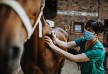 Equine Healthcare Industry: Global Market Revenue and Share by Manufacturers