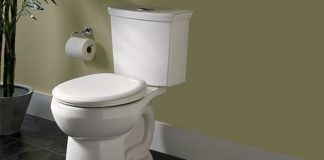 best flushing toilet