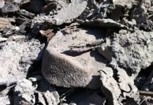 Impact of Outbreak of COVID-19 on Iron and Steel Slag Market Share