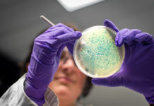 Microbiology Culture Market Incredible Potential, Stagnant Progress According to New Research Report