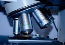 Global Microscopy Devices Market To Reach Us$ 12,350 Mn By 2025