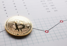 Skeptical Take on Bitcoin and Its Acceptability in Finance Skeptical Take on Bitcoin