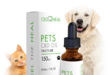 CBD EFFECTS ON PETS