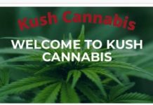 #1 Cannabis Store From A to Z Is KushCannabis