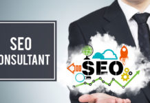 Best SEO Consultant Service Provider in India SEO Consultant