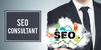 SEO Consultant