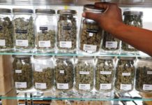 What are the diverse ways of smoking weed?