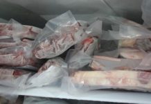 Lắp đặt kho đông lạnh nhanh chóng và đúng quy trình – 0982837973