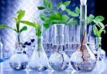 Analysis of COVID-19 on Agricultural Biotechnology Market Trends