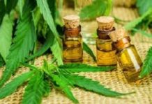 Expanding At 11% Cagr, Cbd Hemp Oil Market Likely To Surpass Us$ 2.5 Billion Through 2026