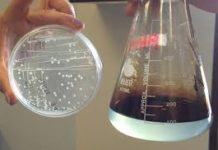 Analysis of Potential Impact of COVID-19 on Microbial Biosurfactants Market Growth