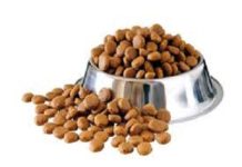 Latest TMR Report Explores Impact of COVID-19 Outbreak on Pet Food Overview Pet Food Overview