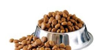 Pet Food Overview