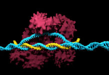 Viral Inactivation Market Estimated to Expand at a Robust CAGR by 2025