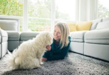 Carpets – The Number One Carpet Tiles Dubai Source carpet tiles