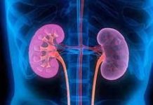 Acute Kidney Injury Therapeutics Market Key Insights, Profiling Companies and Growth Strategies 2018 – 2026