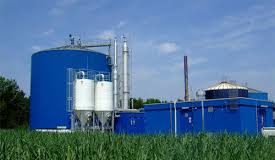 Bio LPG Market