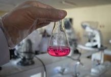 Chemical Distribution Market