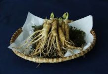 Ginseng Market Growth with Worldwide Industry Analysis to 2027