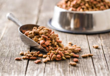 Pet Food Market is projected to expand at a CAGR of ~6%