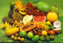 Tropical Fruit Puree Market with consistent 5.6% CAGR