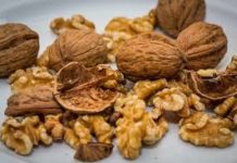 Walnut Market would grow at a steady CAGR of 4.1%