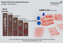 Cell Culture Market to expand at a 10.0% CAGR from 2017 to 2025