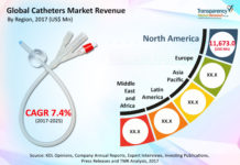 Catheters Market Analysis Size, Share, Trends, Current Demand, and Business Opportunities