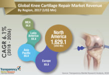 Knee Cartilage Repair Market Revenue and Share by Manufacturers Boosting the Healthcare Industry Worldwide