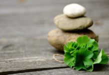 Medicinal Herbs Market : Future Growth and Challenges Analyzed