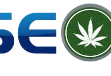 Local SEO guidelines for Cannabis and Marijuana Business