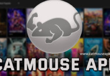 CatMouse APK