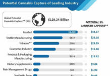 CBD Market Estimates Showing Surprising Stability in key Business Segments till 2029 cbd-market-01