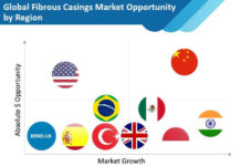 East Asia Fibrous Casings Market to Present an Absolute $ Opportunity of US$ 50 Mn Through 2029