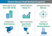 Breast Shell Market Globally Expected to Drive Growth through 2027 global-breast-shell-market-snapshot