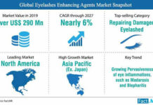 Eyelashes Enhancing Agents Market Estimates Showing Surprising Stability in key Business Segments till 2027 global-eyelashes-enhancing-agents-market-snapshot