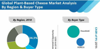 global-plant-based-cheese-market-analysis-by-region-and-buyer-type (2)