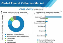 global-pleural-catheters-market-02