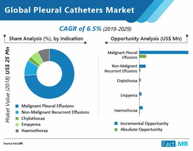 global-pleural-catheters-market-02