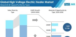high-voltage-electric-heater-market-absolute-$-opportunity-by-type (2)