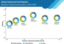 industrial-salt-market-absolute-$-opportunity-analysis