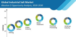 industrial-salt-market-absolute-$-opportunity-analysis