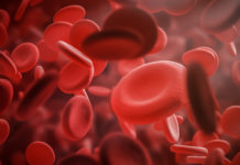 Cell Culture Protein Surface Coatings Market Size will Escalate Rapidly in the Near Future