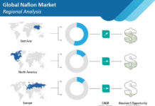 Increasing demand for proton exchange membrane fuel cells from automotive sector is set to augment growth of nafion market nafion-market-regional-analysis