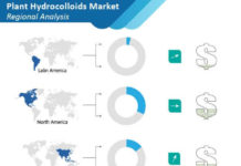Plant Hydrocolloids Market