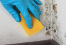 removing-mold-on-wall-750x410
