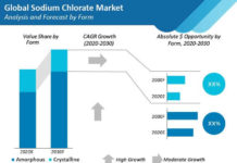 sodium-chlorate-market-analysis-and-forecast-form (3)