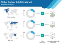 Water treatment industry hold sustainable share of 20% of sodium sulphite market, attributed to recycling waste water sodium-sulphite-market-regional-analysis